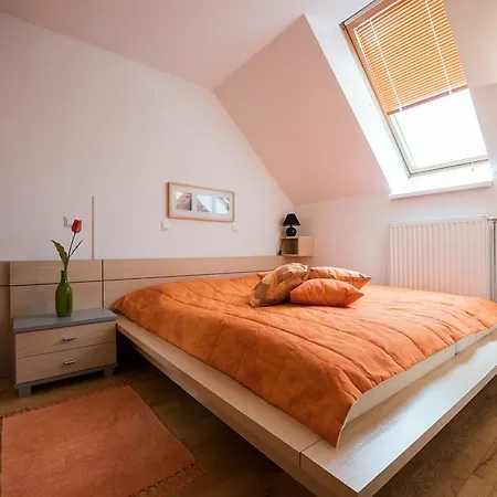 Apartment Apartments Moravske Toplice
